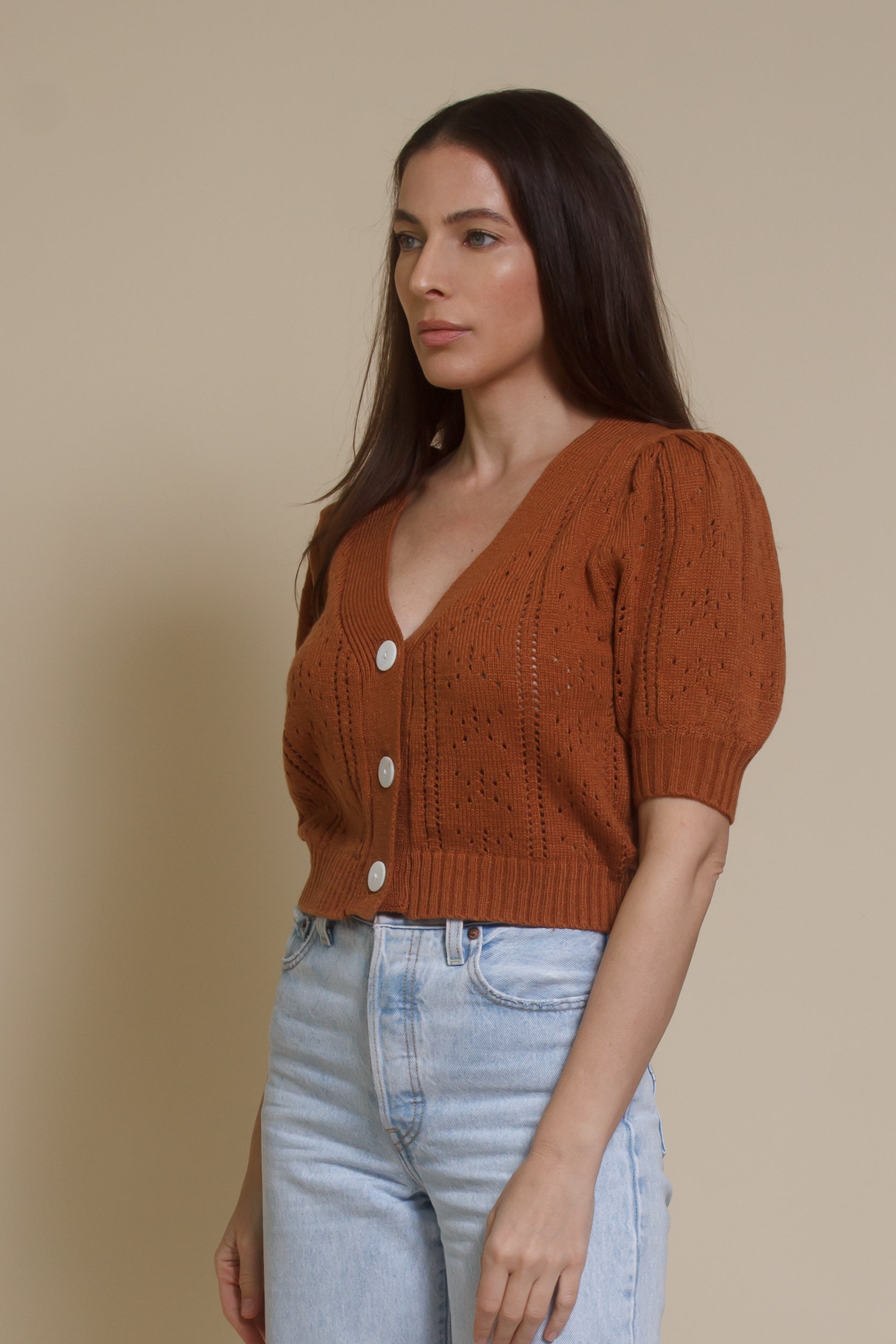 Endless Blue eyelet short sleeve cardigan, in gingerbread.