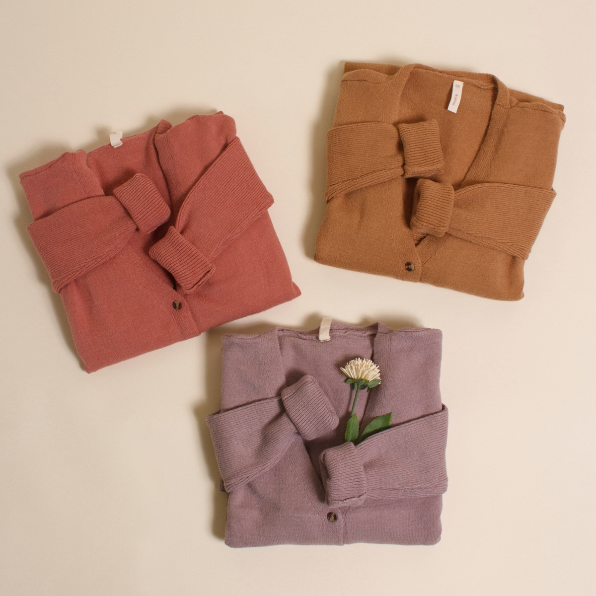Fall Favorites