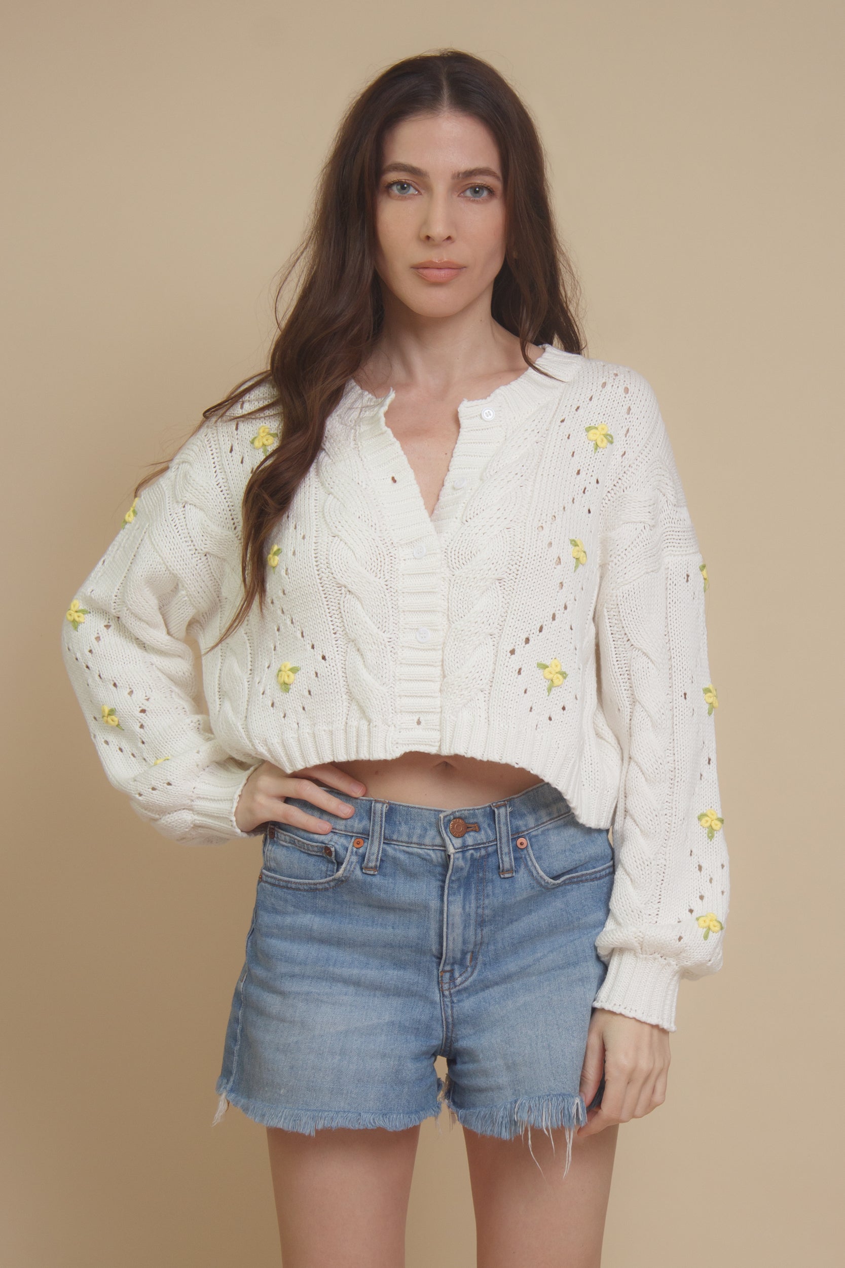 Blue Blush Floral Embroidered Cardigan – Franklin Sunset