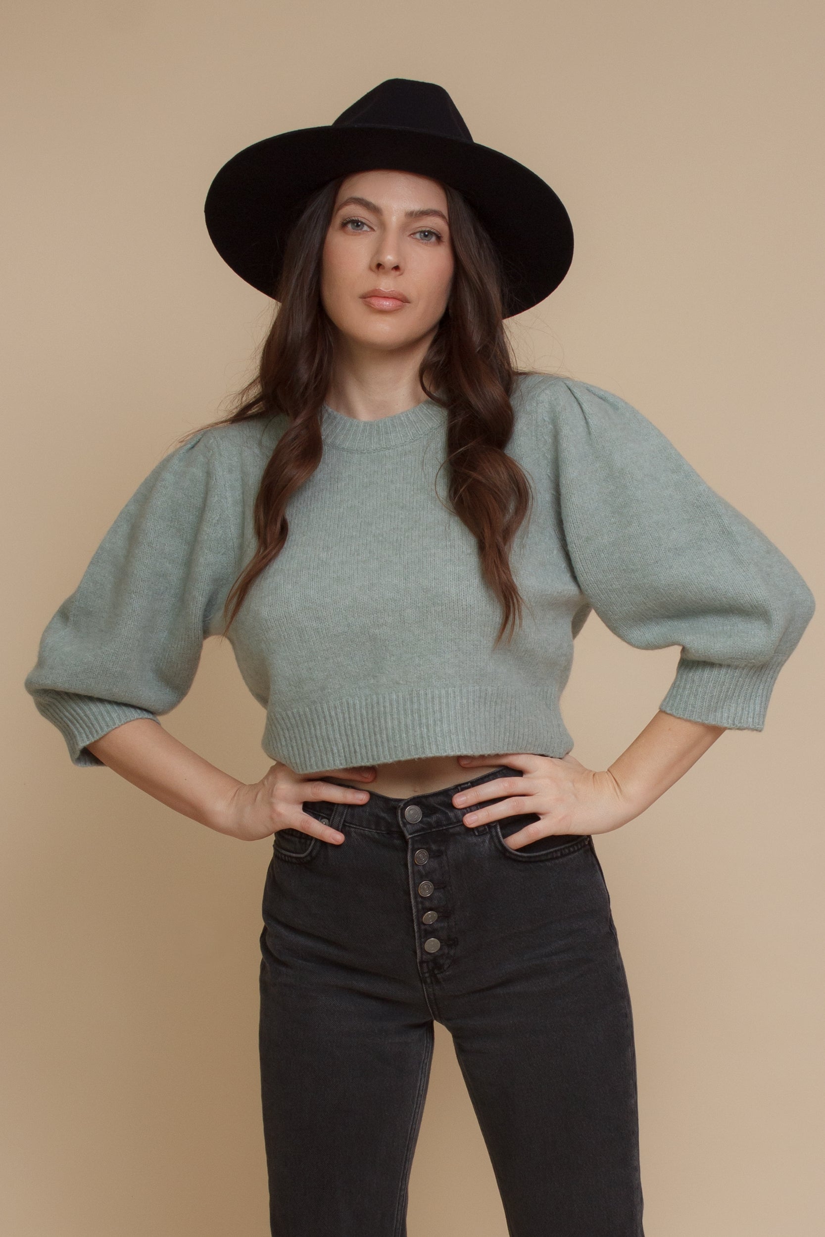 Cropped crewneck sweater with puff sleeves, in sage. Image 10