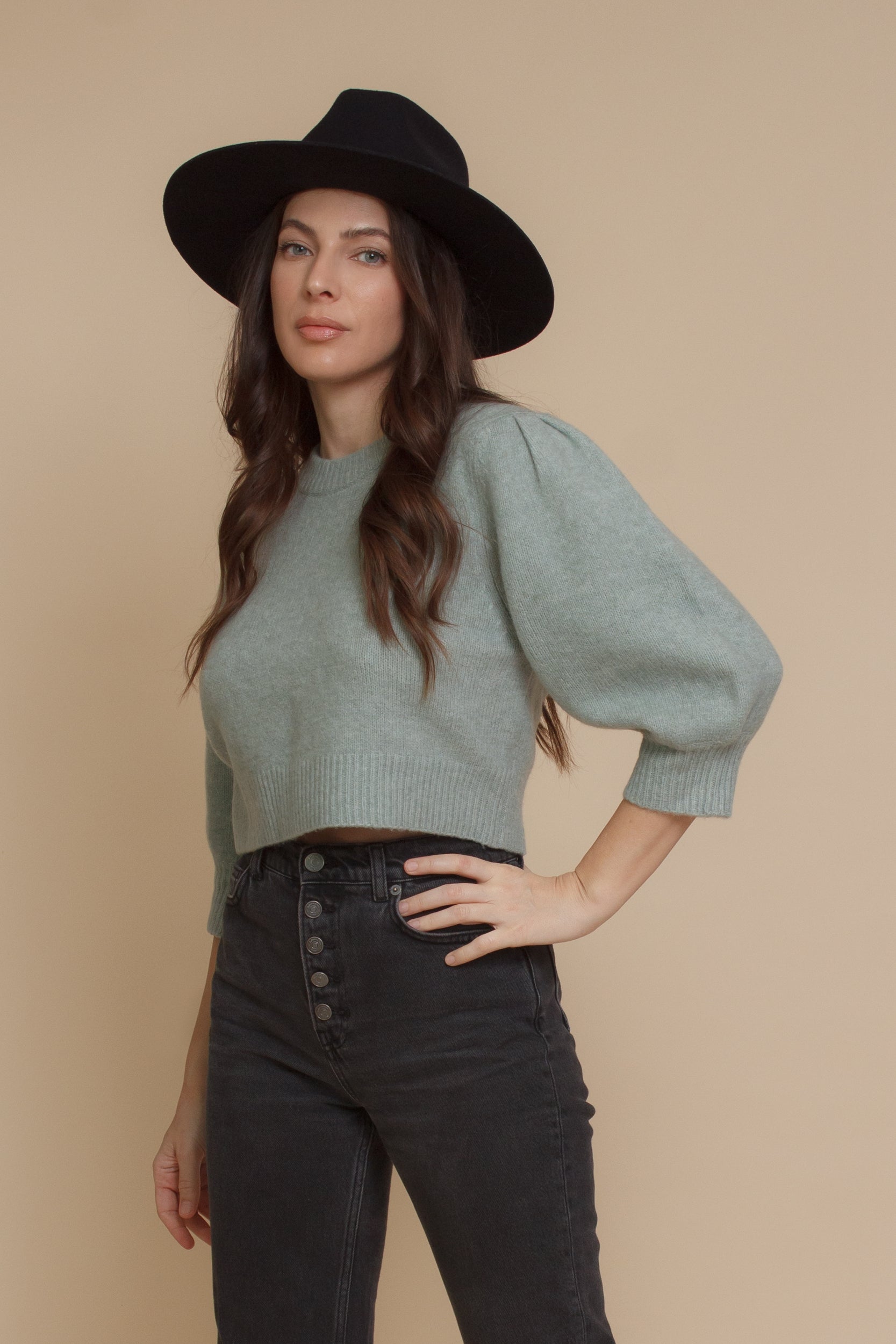 Cropped crewneck sweater with puff sleeves, in sage. Image 9